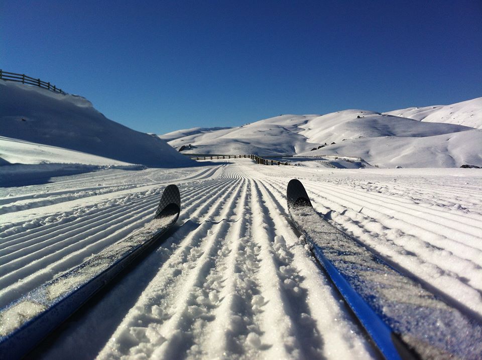 Snow farm, Wanaka